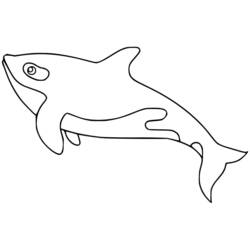 Coloriage Orque (Animaux) #213443 à imprimer et colorier
