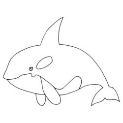 Coloriage Orque (Animaux) #213446 à imprimer et colorier
