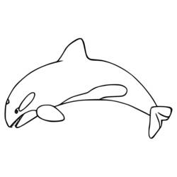Coloriage Orque (Animaux) #213451 à imprimer et colorier