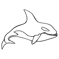 Coloriage Orque (Animaux) #213461 à imprimer et colorier