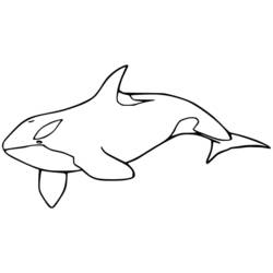 Coloriage Orque (Animaux) #213473 à imprimer et colorier