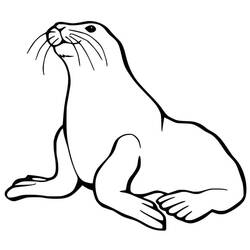 Dessin à colorier: Otarie (Animaux) #192523 - Coloriages à Imprimer Gratuits