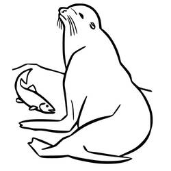 Dessin à colorier: Otarie (Animaux) #192528 - Coloriages à Imprimer Gratuits