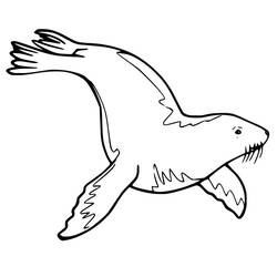 Dessin à colorier: Otarie (Animaux) #192537 - Coloriages à Imprimer Gratuits