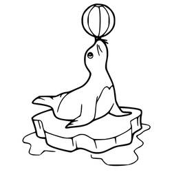 Dessin à colorier: Otarie (Animaux) #192538 - Coloriages à Imprimer Gratuits