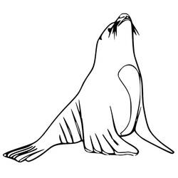 Dessin à colorier: Otarie (Animaux) #192540 - Coloriages à Imprimer Gratuits