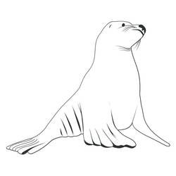 Dessin à colorier: Otarie (Animaux) #192541 - Coloriages à Imprimer Gratuits