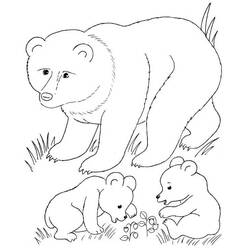 Coloriage Ours (Animaux) #180716 à imprimer et colorier