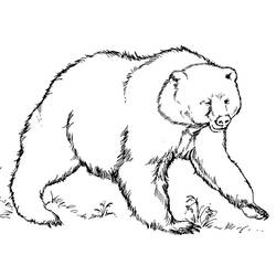 Coloriage Ours (Animaux) #180718 à imprimer et colorier