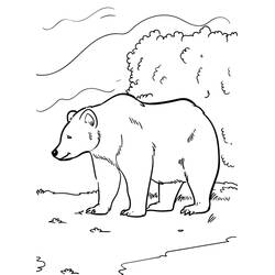 Coloriage Ours (Animaux) #217196 à imprimer et colorier