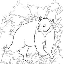 Coloriage Ours (Animaux) #217198 à imprimer et colorier