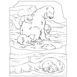 Dessin à colorier: Ours Polaire (Animaux) #201220 - Coloriages à Imprimer Gratuits