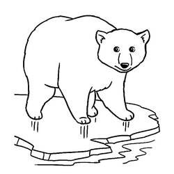 Dessin à colorier: Ours Polaire (Animaux) #201228 - Coloriages à Imprimer Gratuits