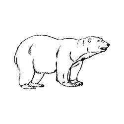 Dessin à colorier: Ours Polaire (Animaux) #201243 - Coloriages à Imprimer Gratuits