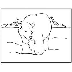Dessin à colorier: Ours Polaire (Animaux) #201245 - Coloriages à Imprimer Gratuits