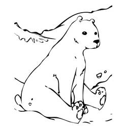 Dessin à colorier: Ours Polaire (Animaux) #201246 - Coloriages à Imprimer Gratuits