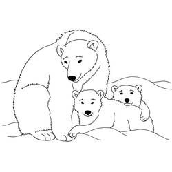 Dessin à colorier: Ours Polaire (Animaux) #201262 - Coloriages à Imprimer Gratuits