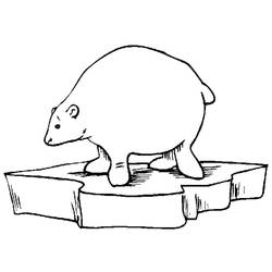 Dessin à colorier: Ours Polaire (Animaux) #201263 - Coloriages à Imprimer Gratuits