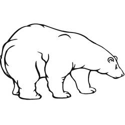 Dessin à colorier: Ours Polaire (Animaux) #201264 - Coloriages à Imprimer Gratuits