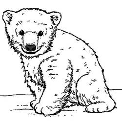 Dessin à colorier: Ourson (Animaux) #214453 - Coloriages à Imprimer Gratuits
