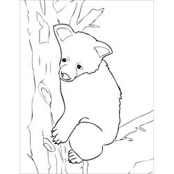 Dessin à colorier: Ourson (Animaux) #214459 - Coloriages à Imprimer Gratuits