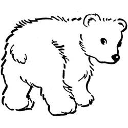 Dessin à colorier: Ourson (Animaux) #214461 - Coloriages à Imprimer Gratuits