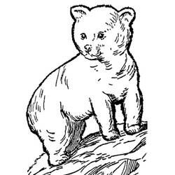 Dessin à colorier: Ourson (Animaux) #214462 - Coloriages à Imprimer Gratuits