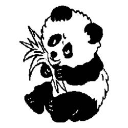 Dessin à colorier: Panda (Animaux) #12438 - Coloriages à imprimer