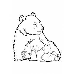 Dessin à colorier: Panda (Animaux) #12454 - Coloriages à imprimer