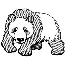 Dessin à colorier: Panda (Animaux) #12462 - Coloriages à imprimer