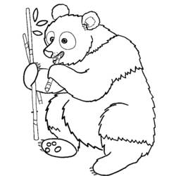 Dessin à colorier: Panda (Animaux) #12463 - Coloriages à imprimer