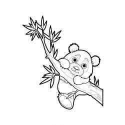 Dessin à colorier: Panda (Animaux) #12476 - Coloriages à imprimer