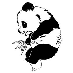 Dessin à colorier: Panda (Animaux) #12499 - Coloriages à imprimer