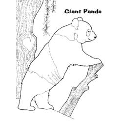 Dessin à colorier: Panda (Animaux) #12508 - Coloriages à Imprimer Gratuits