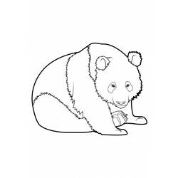 Dessin à colorier: Panda (Animaux) #12509 - Coloriages à imprimer