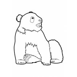 Dessin à colorier: Panda (Animaux) #12514 - Coloriages à Imprimer Gratuits