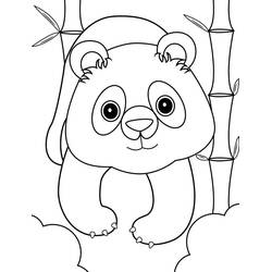 Dessin à colorier: Panda (Animaux) #175204 - Coloriages à Imprimer Gratuits