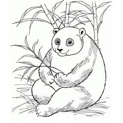 Dessin à colorier: Panda (Animaux) #175205 - Coloriages à Imprimer Gratuits