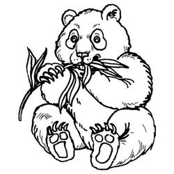 Dessin à colorier: Panda (Animaux) #175214 - Coloriages à Imprimer Gratuits