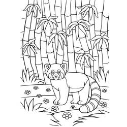 Dessin à colorier: Panda Roux (Animaux) #212053 - Coloriages à Imprimer Gratuits