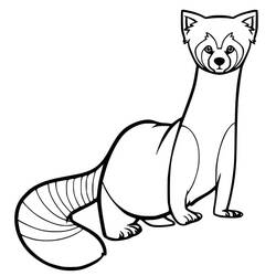 Dessin à colorier: Panda Roux (Animaux) #212059 - Coloriages à Imprimer Gratuits