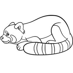 Dessin à colorier: Panda Roux (Animaux) #212065 - Coloriages à Imprimer Gratuits