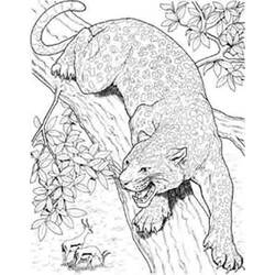 Dessin à colorier: Panthère (Animaux) #15518 - Coloriages à Imprimer Gratuits
