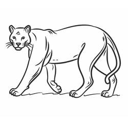 Coloriage Panthère (Animaux) #214442 à imprimer et colorier