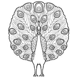 Dessin à colorier: Paon (Animaux) #197584 - Coloriages à Imprimer Gratuits