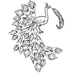Dessin à colorier: Paon (Animaux) #197597 - Coloriages à Imprimer Gratuits