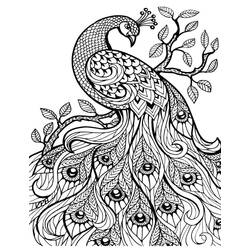 Dessin à colorier: Paon (Animaux) #197604 - Coloriages à Imprimer Gratuits