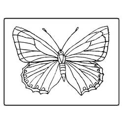 Dessin à colorier: Papillon (Animaux) #15663 - Coloriages à Imprimer