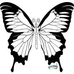 Dessin à colorier: Papillon (Animaux) #15664 - Coloriages à imprimer