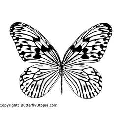 Dessin à colorier: Papillon (Animaux) #15665 - Coloriages à Imprimer